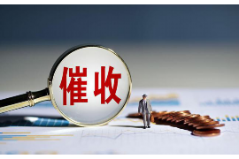 河南企业清欠服务