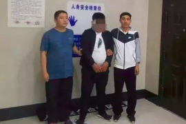 河南贷款清欠服务